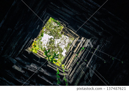 Low angle view looking up inside ancient stone tower square opening sky green trees sunlight perspective architecture ruins mystic atmosphere dungeon prison 137487621