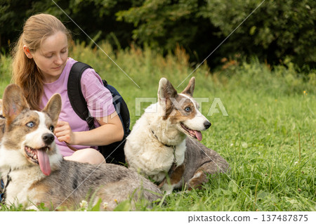 Professional dog walker young woman with pack of dogs is sitting on grass and enjoying walk animals. Professional dog walker young woman with pack of dogs is sitting on grass and enjoying walk animals. 137487875