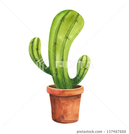 Watercolor illustration of a funny curved cactus in a brown pot, hand drawn houseplants for decor in a simple style 137487888