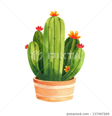 Watercolor illustration of a round blooming cactus in a brown pot, hand drawn houseplants for decor in a simple style 137487889