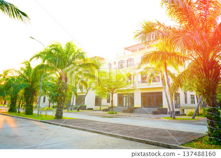 Palm trees at villa. Palm trees on hotel apartments background. Villa apartments on bright sky 137488160