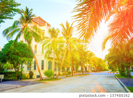 Palm trees at villa. Palm trees on hotel apartments background. Villa apartments on bright sky 137488162