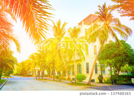 Palm trees at villa. Palm trees on hotel apartments background. Villa apartments on bright sky 137488163