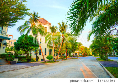 Palm trees at villa. Palm trees on hotel apartments background. Villa apartments on bright sky 137488164
