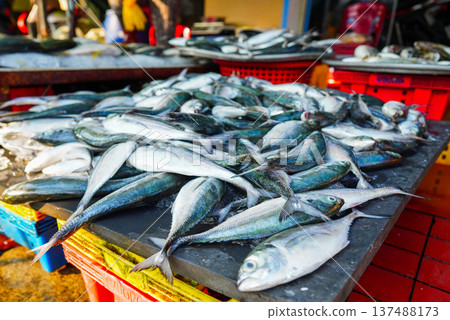 Fish close-up in seafood market. Fresh fish sale at local market. Freh seafood in ice on counter  137488173