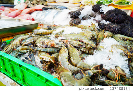 Shrimp on displayed on ice at market stall. Shrimp close-up in seafood market. Fresh shrimp Shrimp on displayed on ice at market stall. Shrimp close-up in seafood market. Fresh shrimp 137488184