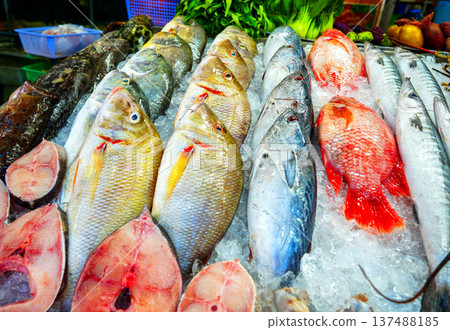 Fish in seafood market. Fresh fish sale at local market. Freh seafood in ice on counter Fish in seafood market. Fresh fish sale at local market. Freh seafood in ice on counter 137488185