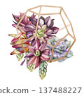Succulent rosettes, sedum trailing clusters in polygonal metal wire frame, dodecahedron shape. Isolated illustration hand drawn in watercolor. Furniture brands, contemporary home styling promotions. 137488227
