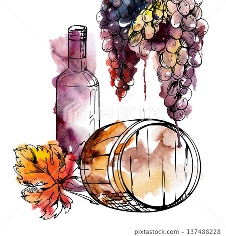 Cellar barrel cask with wine bottle, hanging grape clusters and leaf. Isolated illustration hand drawn in watercolor and ink for menus, event graphics, label design, blog imagery, winery identity. 137488228