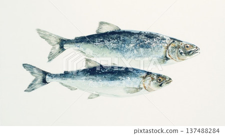 Two fish on a plain background 137488284