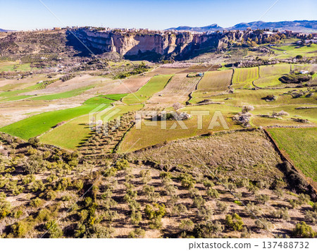 Green field in Ronda valley, Andalucia Spain Green field in Ronda valley, Andalucia Spain 137488732