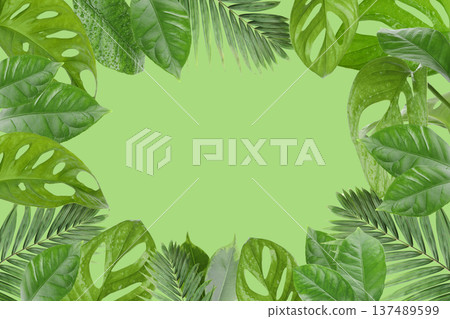 Green leaves surround a light space in a natural arrangement 137489599