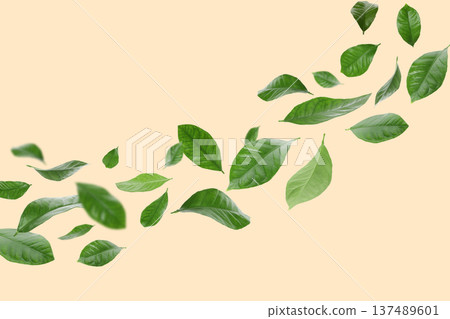 Leaves are moving in space creating a lively backdrop 137489601