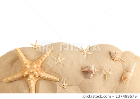 Starfish and seashells placed on warm sand by the beach, PNG Starfish and seashells placed on warm sand by the beach, PNG 137489679
