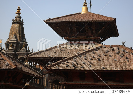 A view of the cityscape of Patan in Kathmandu, Nepal, with blue sky, roofs with many pigeons perched on them and old buildings A view of the cityscape of Patan in Kathmandu, Nepal, with blue sky, roofs with many pigeons perched on them and old buildings 137489689