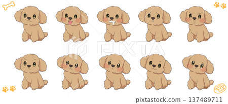 一組坐姿玩具貴賓犬的插圖，展現了各種不同的表情 137489711