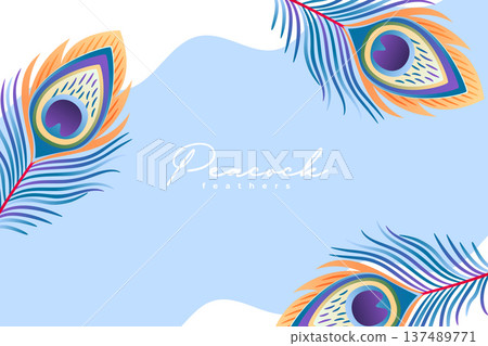 artistic peacock plume feather background 137489771