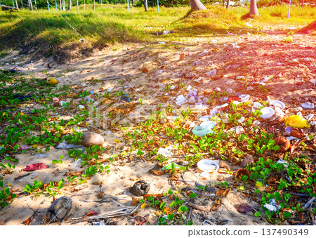 Trash on beach at sea. Garbage dump at ocean. Trash, debris on sea beach. Trash on beach at sea. Garbage dump at ocean. Trash, debris on sea beach. 137490349