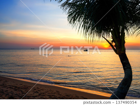 Sunset view over ocean with palm trees. View from beach in evening. Palm trees on sandy beach Sunset view over ocean with palm trees. View from beach in evening. Palm trees on sandy beach 137490354
