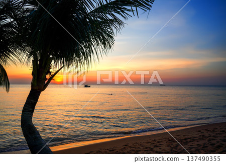 Sunset view over ocean with palm trees. View from beach in evening. Palm trees on sandy beach 137490355