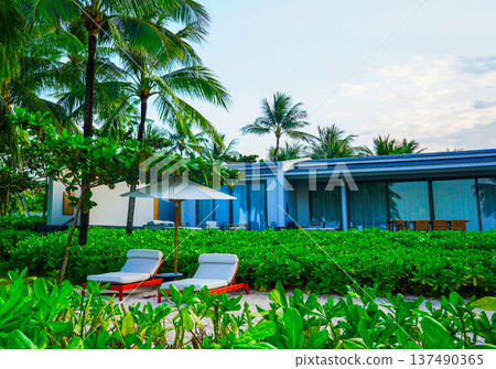 Lounge chairs under an umbrella at beach resort in palm trees Relaxation on lounge chairs Lounge chairs under an umbrella at beach resort in palm trees Relaxation on lounge chairs 137490365