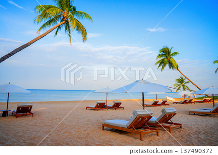 Sunset at tropical sand beach with palm trees. Visitors relaxing on lounge chairs at sea in seaside 137490372
