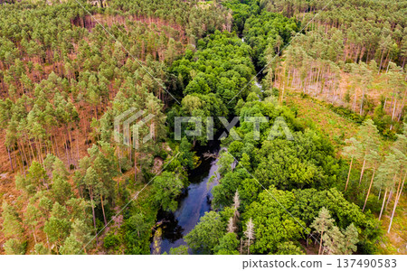 Brda river and Tuchola forest in Poland. Aerial view Brda river and Tuchola forest in Poland. Aerial view 137490583