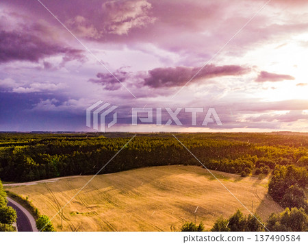 Rainy weather. Field and forest, aerial view Rainy weather. Field and forest, aerial view 137490584