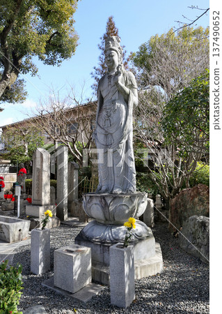 Kannon Bodhisattva statue: Mibu-dera Temple, the training ground for Shinsengumi soldiers Kannon Bodhisattva statue: Mibu-dera Temple, the training ground for Shinsengumi soldiers 137490652