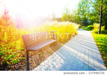 Walkway in City Park at Modern Buildings. Serene path winds through park with greenery 137490726
