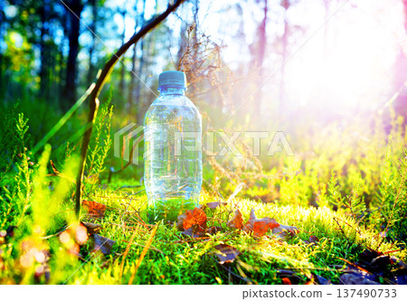 Plastic bottle with fresh drinking water on forest background. Water bottle on moss in sunny forest Plastic bottle with fresh drinking water on forest background. Water bottle on moss in sunny forest 137490733
