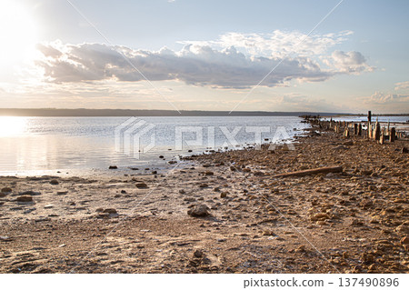 The landscape of the estuary near Odessa in Ukraine with wooden piles - the remains of piers. 137490896