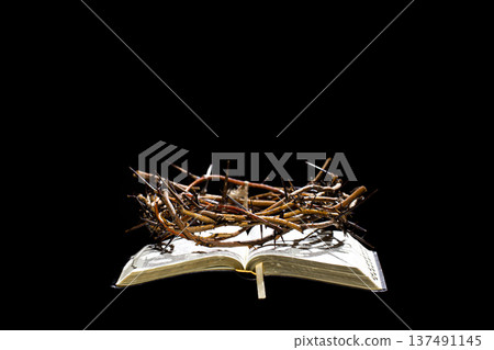 The crown of thorns lies on the open holy book of the Bible copy space. The crown of thorns lies on the open holy book of the Bible copy space. 137491145