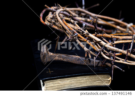 A crown of thorns and an old rusty nail lie on a closed book of the Bible. 137491146