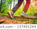 Trail running shoes for hiking. Hiking in sports shoes in forest trail. Sports shoes for cross 137491264