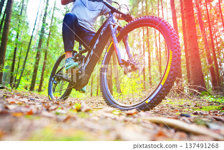 Cyclist on a bicycle, front view. Sportsman cyclist on Electric mountain bike on a forest trail. 137491268