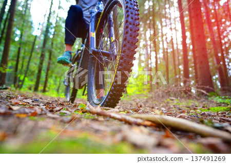Cyclist on bicycle front view. Sportsman cyclist on Electric mountain bike forest trail. MTB E-bike Cyclist on bicycle front view. Sportsman cyclist on Electric mountain bike forest trail. MTB E-bike 137491269