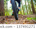 Cyclist on a bicycle, rear view. Sportsman cyclist on Electric mountain bike on a forest trail. 137491271