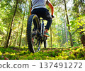 Cyclist on a bicycle, rear view. Sportsman cyclist on Electric mountain bike on a forest trail. 137491272