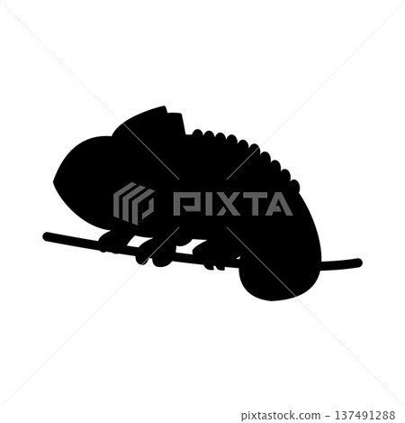 Stylized chameleon silhouette on a branch vector illustration. Creative lizard animal shape for branding, nature concepts, and environmental design. 137491288