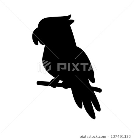 Stylized parrot silhouette on a branch vector illustration. Tropical bird shape for summer decor exotic branding and travel concepts. Stylized parrot silhouette on a branch vector illustration. Tropical bird shape for summer decor exotic branding and travel concepts. 137491323