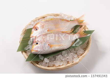 [長崎縣] 木台（Renkodai） 137491343