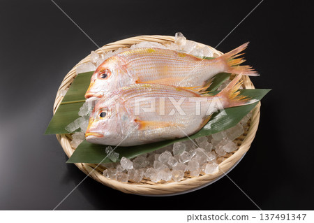 [長崎縣] 木台（Renkodai） 137491347