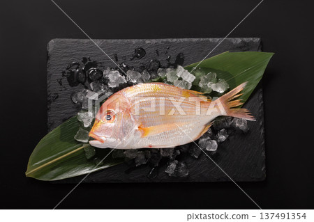 [Nagasaki Prefecture] Kidai (Renkodai) 137491354