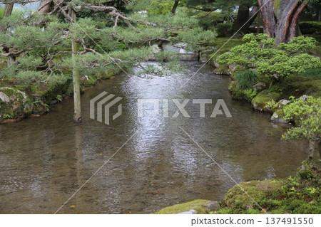 花園池塘 花園池塘 137491550