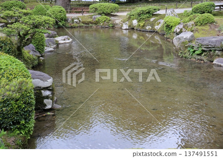 花園池塘 花園池塘 137491551