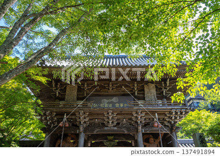 Entrance gate of Daisho-in Temple on Miyajima Island, Japan Entrance gate of Daisho-in Temple on Miyajima Island, Japan 137491894