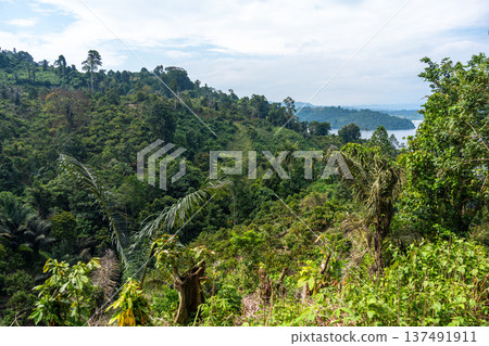 Panoramic view of Lake Poso in Tentena, Sulawesi, Indonesia Panoramic view of Lake Poso in Tentena, Sulawesi, Indonesia 137491911