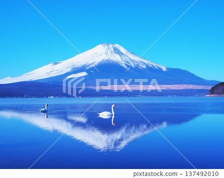 Yamanashi Prefecture, Lake Yamanaka on a winter morning, February 137492010