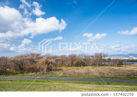 大阪府枚方市淀川公園出口區域 137492250